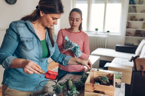 together making terrarium at home - garden decoration stock pictures, royalty-free photos & images