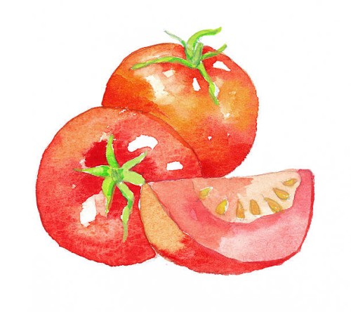 tomatoes and tomato wedge - food stock illustrations