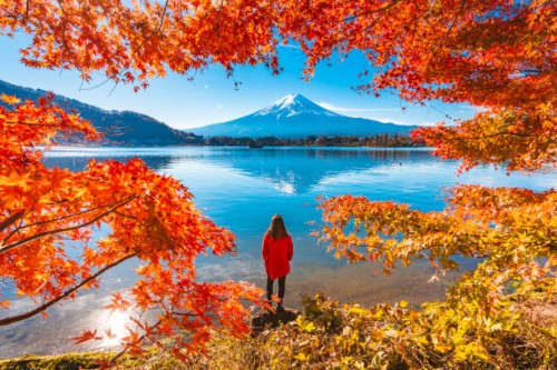 tourist admiring mt. fuji in autumn, japan - travel stock pictures, royalty-free photos & images