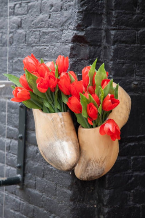 traditional clogs and tulips outside restaurant in amsterdam - garden decoration stock pictures, royalty-free photos & images