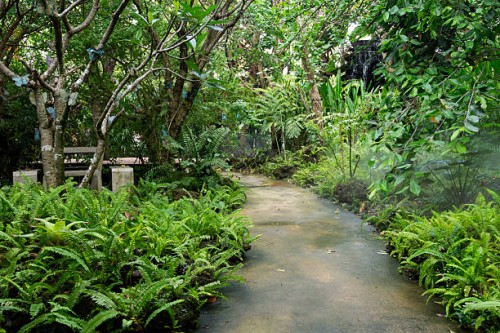 tranquil path way through a lush tropical garden - garden decoration stock pictures, royalty-free photos & images