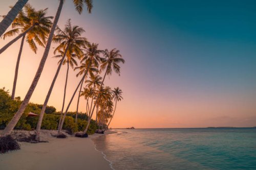 tranquil summer vacation or holiday landscape. tropical island sunset beach. palm trees over calm sea water, sun rays, colorful sky. exotic nature view, inspirational and peaceful seascape reflection - travel stock pictures, 