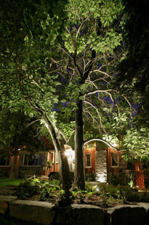 tree night scene - garden decoration stock pictures, royalty-free photos & images
