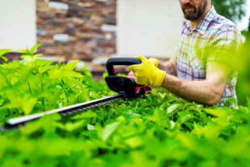trimming bushes - garden decoration stock pictures, royalty-free photos & images