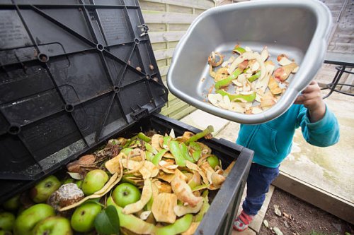 trip to compost bin - food stock pictures, royalty-free photos & images