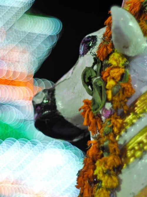 trissur temple cow - garden decoration stock pictures, royalty-free photos & images