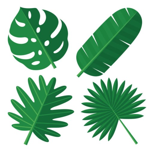 tropical leaves - garden decoration stock illustrations