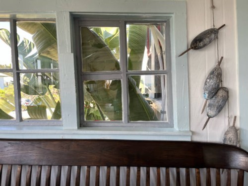 tropical plants through a beach bungalow window. - home decoration stock pictures, royalty-free photos & images