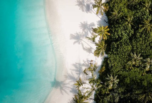 tropisch strand van de eilandpalmboom van hierboven - travel stockfoto's en -beelden