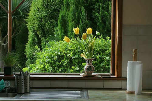 tulips in kitchen window - garden decoration stock pictures, royalty-free photos & images