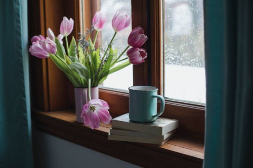 tulips on a window sill - home decoration stock pictures, royalty-free photos & images