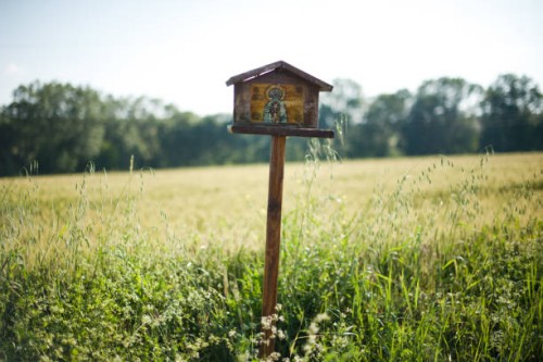 tuscan landscape - garden decoration stock pictures, royalty-free photos & images