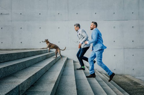 two businessmen running up on steps with dog - fashion stock pictures, royalty-free photos & images