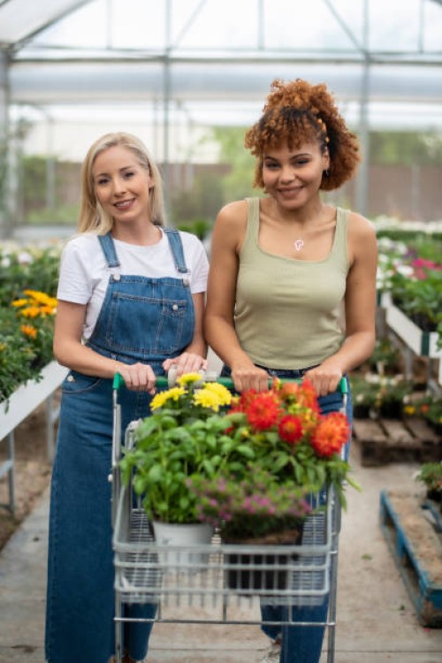 two female friends with the plants in a greenhouse happy and smiling using shopping cart - garden decoration stock pictures, royalty-free photos & images