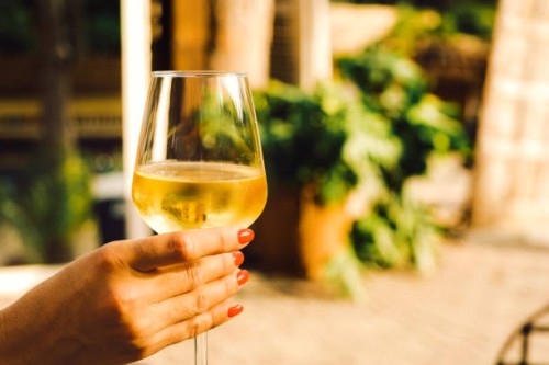 two glasses of white wine. - garden decoration photos et images de collection