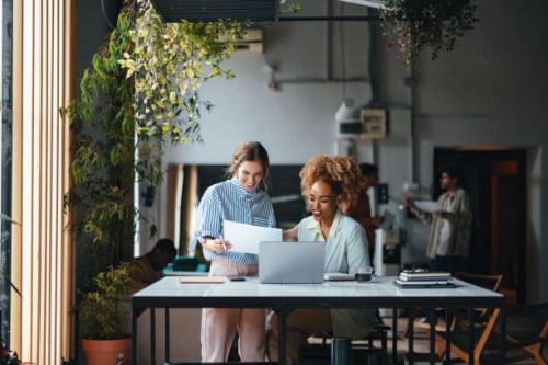 two happy beautiful blonde businesswomen working in the office using their computer - home decoration stockfoto's en -beelden