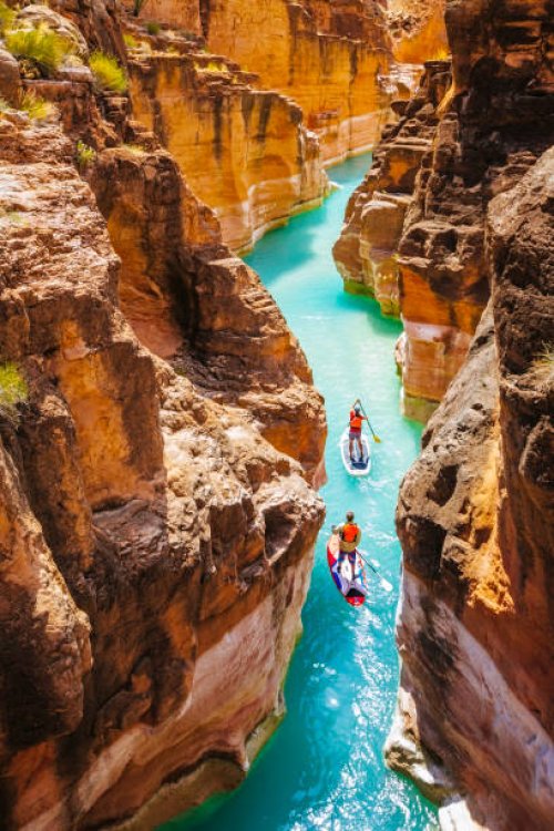 two people on stand up paddleboards in havasu creek, arizona. - travel stock pictures, royalty-free photos & images