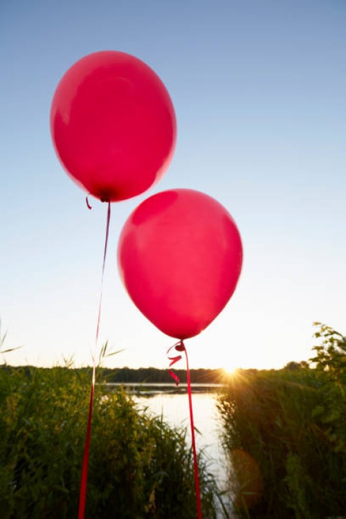 two pink balloons for party decoration at lake against sky - garden decoration stock pictures, royalty-free photos & images
