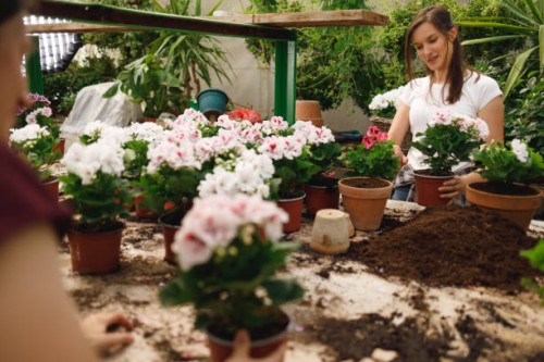 two women working in a flower greenhouse - garden decoration stock pictures, royalty-free photos & images