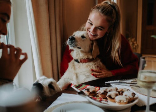 two young woman sit a dining table with a golden retriever perched between them - food stockfoto's en -beelden