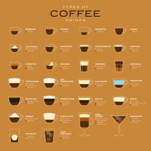 types of coffee vector illustration. infographic of coffee types and their preparation. coffee house menu. flat style. - coffee stock illustrations