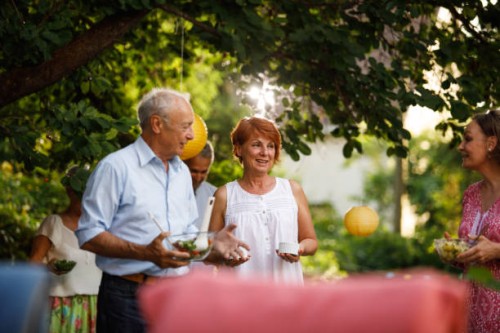 une fête des aînés en plein air - garden decoration photos et images de collection