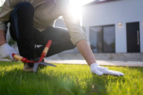 unrecognizable caucasian gardener using pruning shears to cut the grass - garden decoration stock pictures, royalty-free photos & images