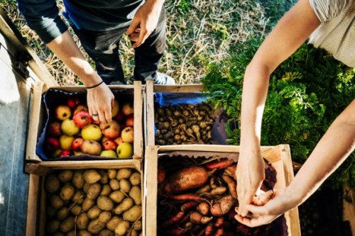 urban farmers organising crates of fruits and vegetables on truck - food stock pictures, royalty-free photos & images