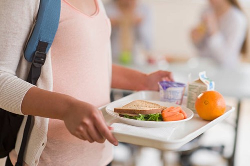 usa, new jersey, jersey city, female student carrying tray in cafeteria - food stock pictures, royalty-free photos & images