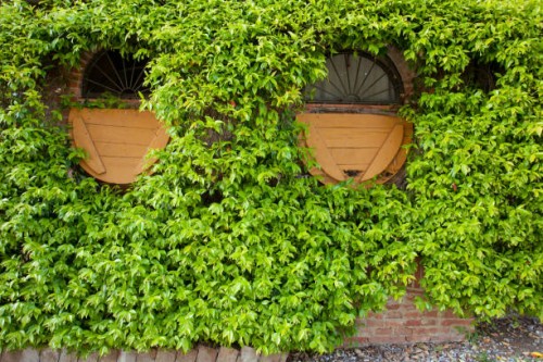 valgiano, lucca - tuscany, italy - garden decoration stock pictures, royalty-free photos & images