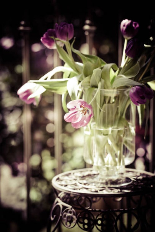 vase with tulips, light and shadow, the vase with water stan - garden decoration stock pictures, royalty-free photos & images