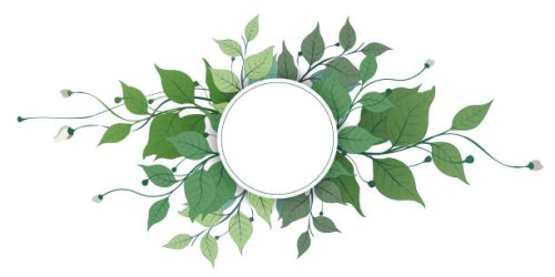 vector banners set with green leaves on white background. exotic botanical design for cosmetics, perfume, beauty salon, travel agency, florist shop. best as wedding invitation cards - garden decoration stock illustrations