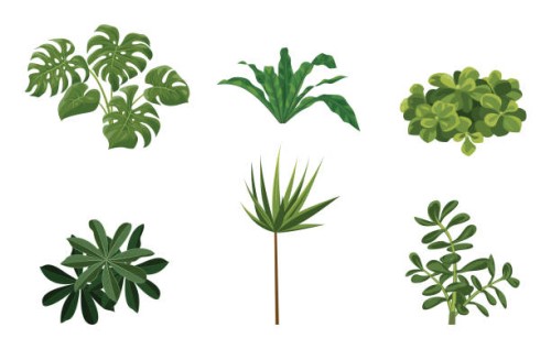 vector set of different houseplants in flower pots on white background - garden decoration stock illustrations