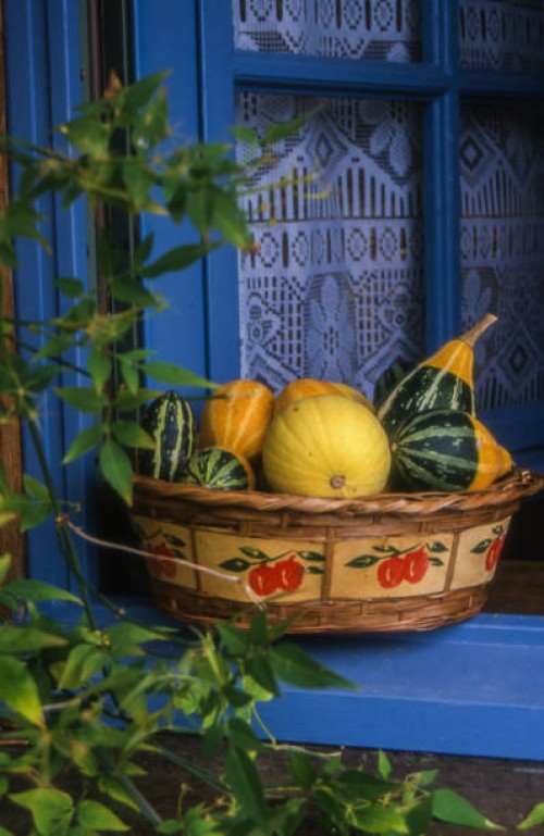 vegetable cart in front of a blue window - garden decoration stock pictures, royalty-free photos & images