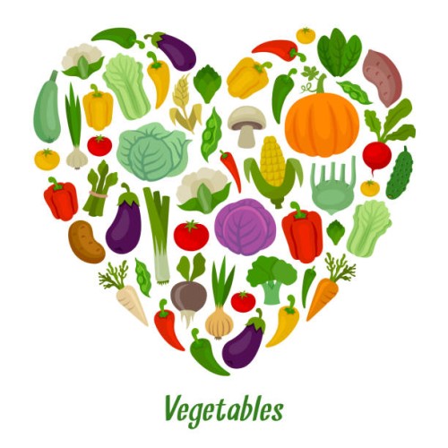 vegetables heart shape composition. fresh vegetables. organic food. - food stock illustrations