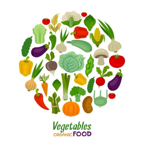 vegetables round composition. fresh vegetables. organic food. - food stock illustrations