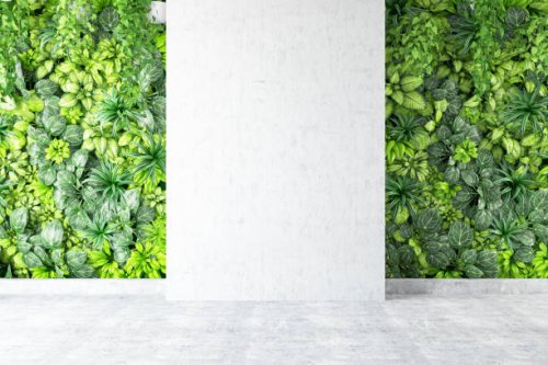 vertical garden with empty wall - garden decoration stock pictures, royalty-free photos & images