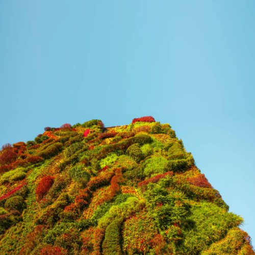 vertical green garden covering the facade of a residential building in the city. - garden decoration stock pictures, royalty-free photos & images