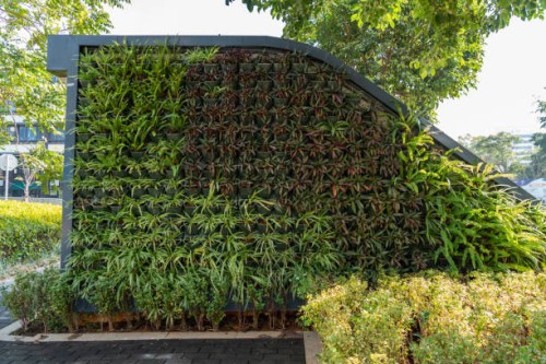 vertical greening of outdoor walls - garden decoration stock pictures, royalty-free photos & images