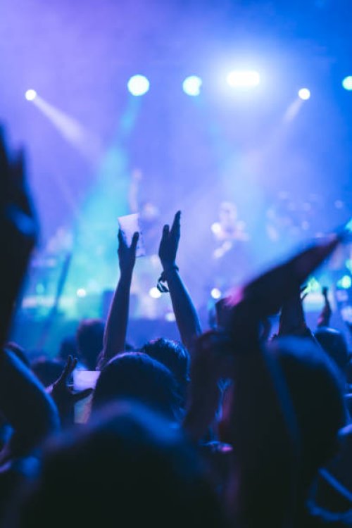 vertical photo of an unrecognizable person clapping hands at a music concert - concert stock pictures, royalty-free photos & images