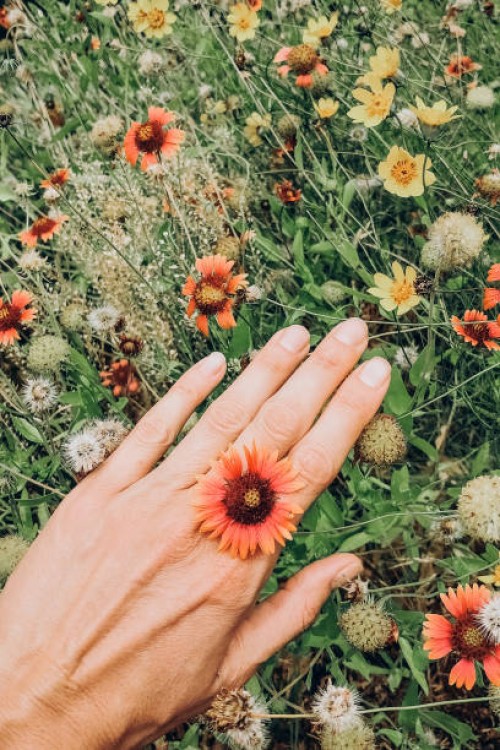 vibrant summer wildflowers in bloom with unique nature-inspired hand adornment - garden decoration stock pictures, royalty-free photos & images