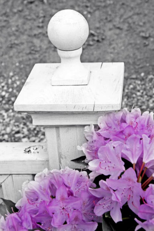 victorian garden - garden decoration stock-fotos und bilder