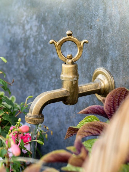 vintage bronze faucet on a gray wall surrounded by plants. garden brass faucet - garden decoration stock pictures, royalty-free photos & images