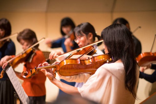 violin concert - concert stock pictures, royalty-free photos & images