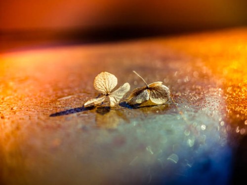 vivid dream 01 - junk food stock-fotos und bilder