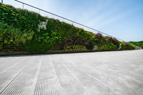wall decorated with the plants - garden decoration stock pictures, royalty-free photos & images