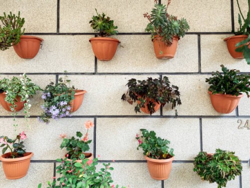 wall garden with potted plants - garden decoration stock pictures, royalty-free photos & images