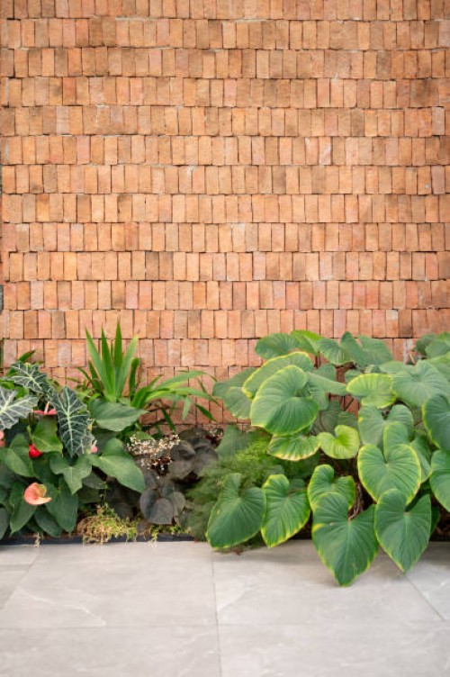 wall with a brick wall and a lot of plants. botanical brickwork - plants adorning urban wall - garden decoration stock pictures, royalty-free photos & images