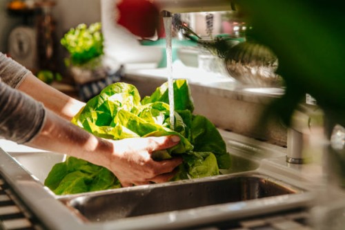 washing lettuce in kitchen - food stock pictures, royalty-free photos & images