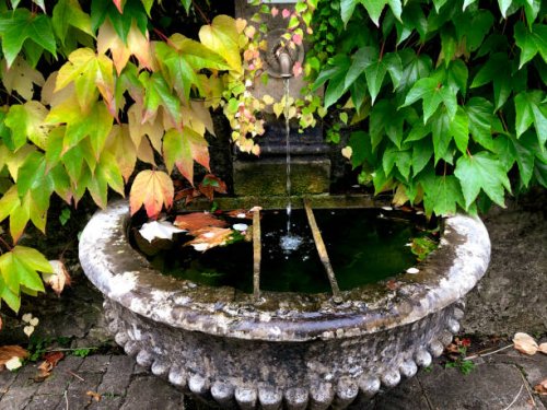 water fountain and parthenocissus tricuspidata leaf in red color on the wall - garden decoration stock pictures, royalty-free photos & images